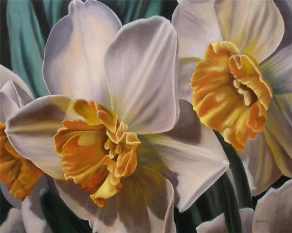 Нарциссы цветы живопись