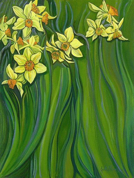 Маврина нарциссы