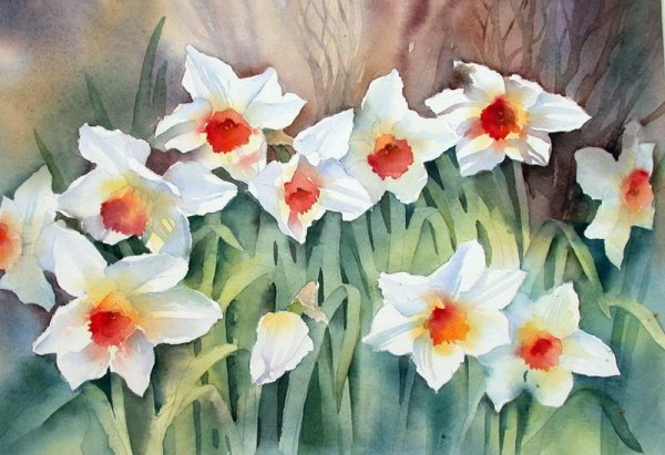 Энн Мортимер цветы в акварели