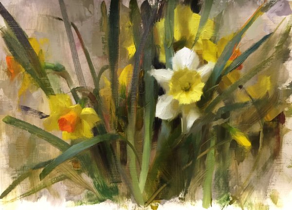 Ева Розенстанд нарциссы