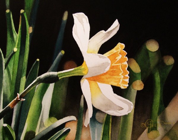 Jacqueline Gnott картины