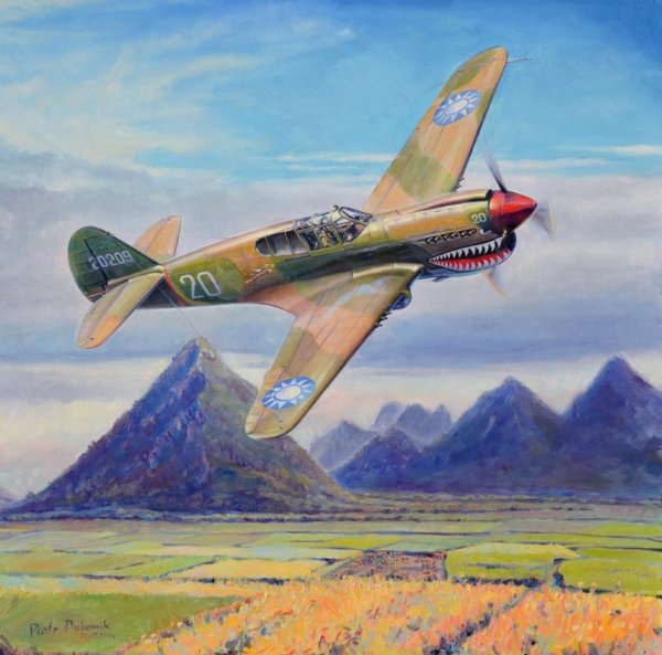 Самолет гуашью