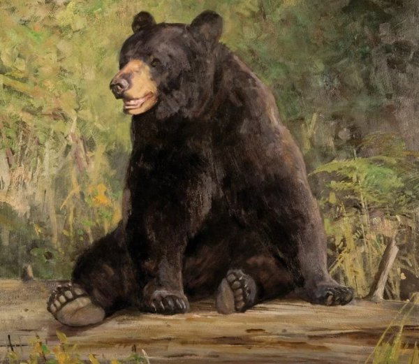 Анималист Ken Carlson.