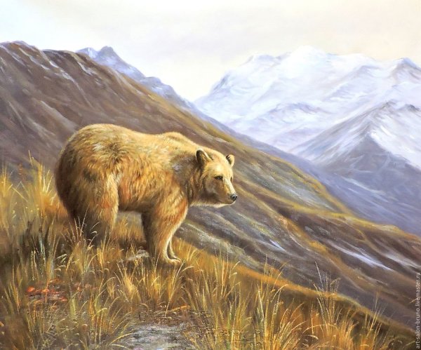 Медведь маслом