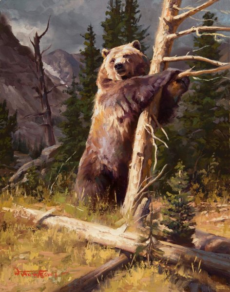 Картина медведь