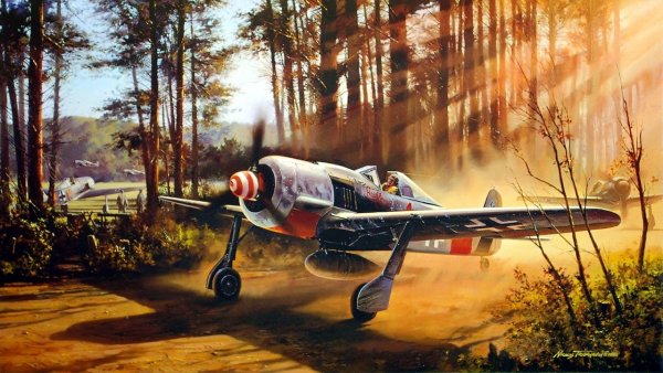 Nicolas Trudgian Авиация