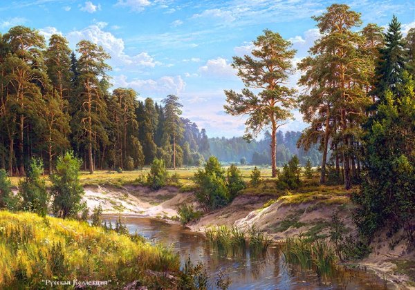 Художник-самоучка Сергей Басов.