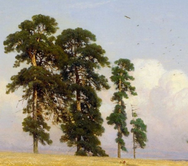 Иван Шишкин рожь