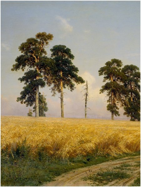 Шишкин Иван Иванович рожь