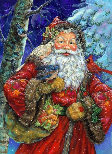 Художник-иллюстратор Donna Race