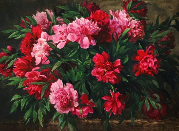 Андрияка пионы