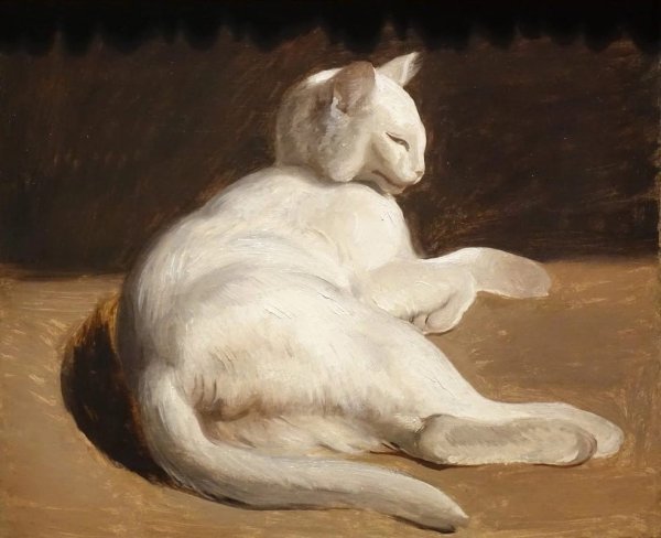 Теодор кошка