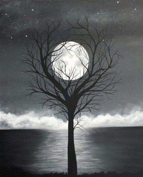 Картины на черном холсте акрилом