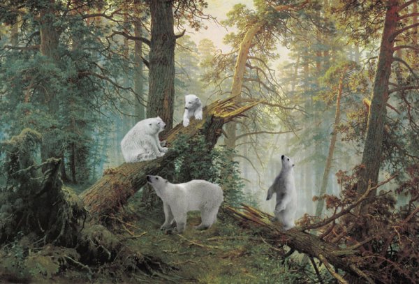 Мишки в Сосновом Бору Путин