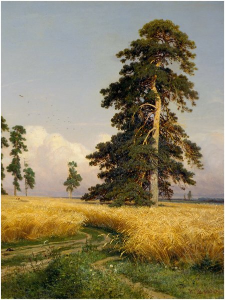 Шишкин Иван Иванович рожь