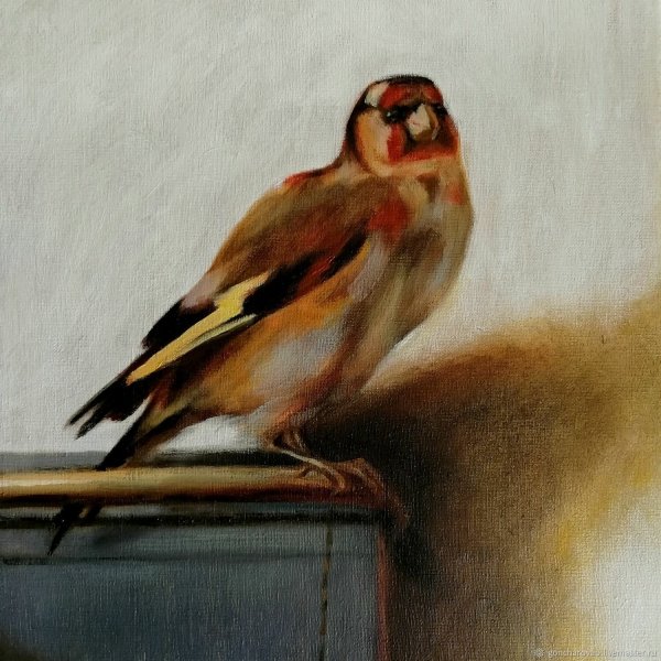 Щегол картина Фабрициуса