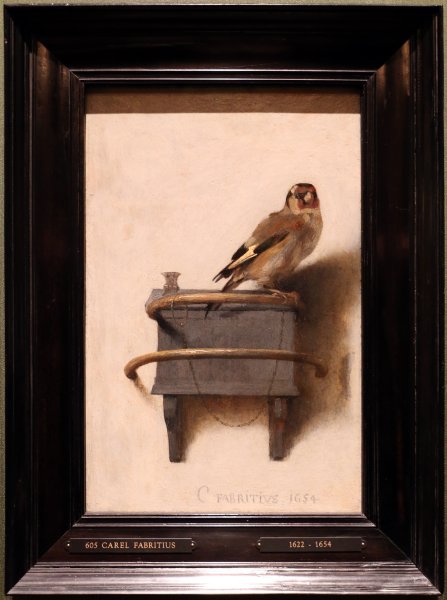 Щегол картина Фабрициуса