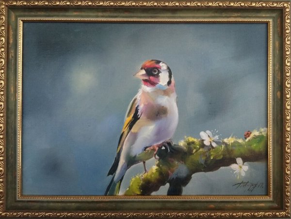 Карел Фабрициус щегол