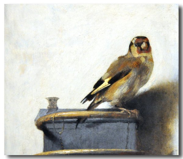 Щегол Карела Фабрициуса