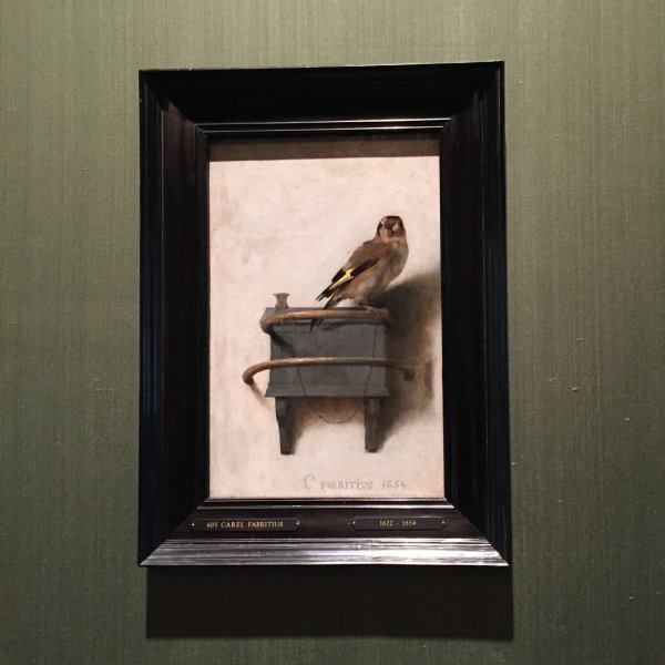 Щегол картина Фабрициуса