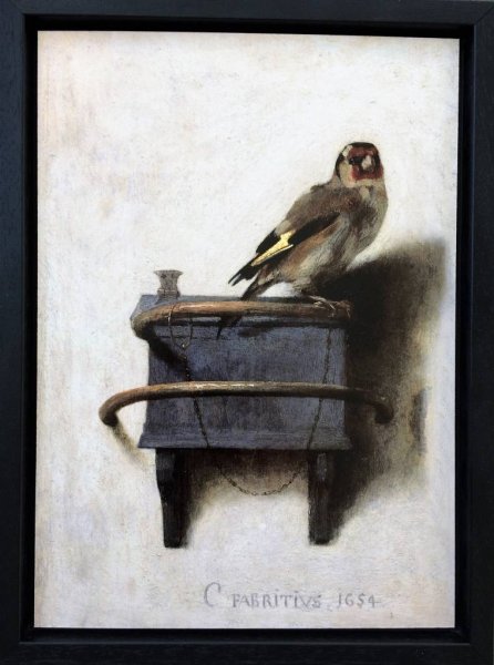 Щегол картина Фабрициуса