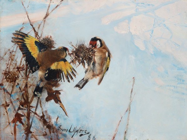 Щегол Карел Фабрициус 1654