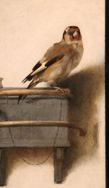 Картина щегол Карела Фабрициуса