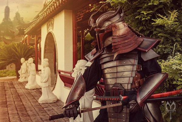 Воин Ронин Самурай