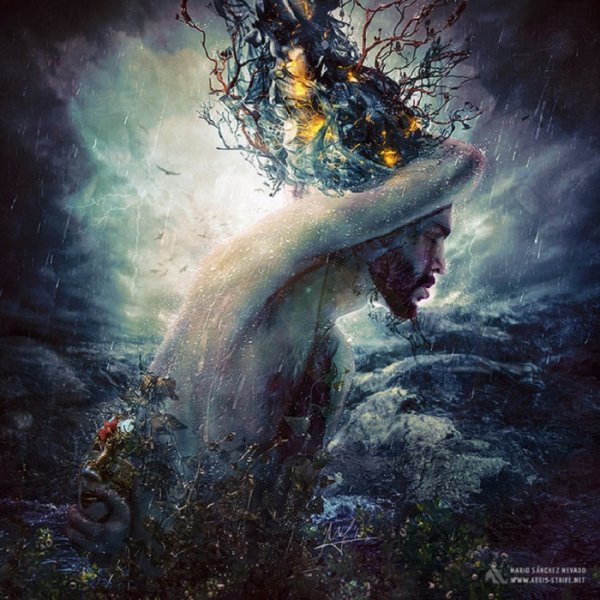 Арон Вайзенфелд