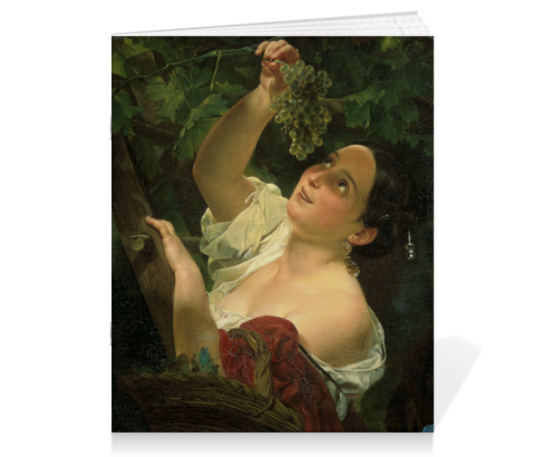 Смуглянка Молдаванка виноград