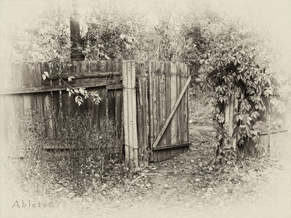 Художник Helen parsley картины