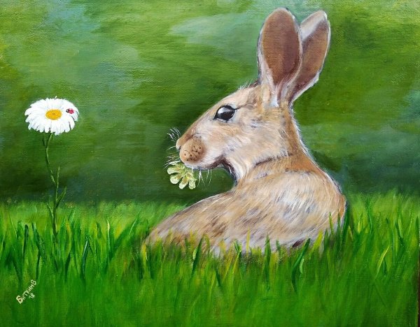 Заяц живопись