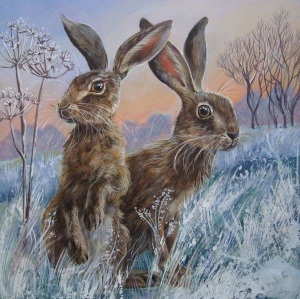 П Меньшикова зайцы