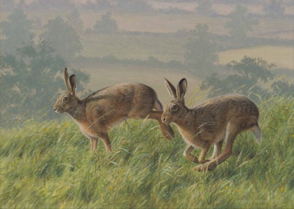 Художник Andrew Hutchinson картины