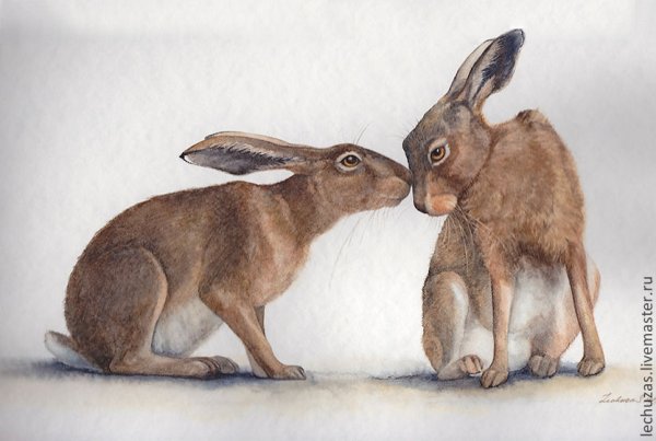 Картина зайцы из серии Дикие животные