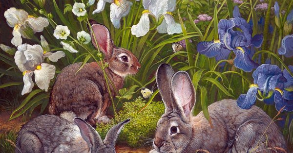 Зайцы Меньшикова