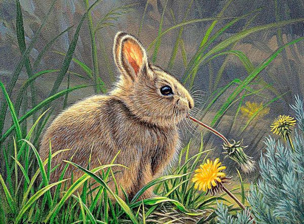 Художник Paul Krapf.