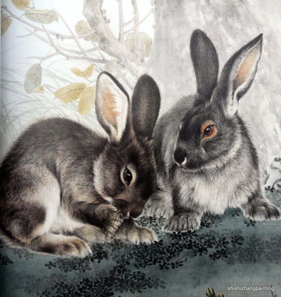 Зайцы кролики иллюстрации