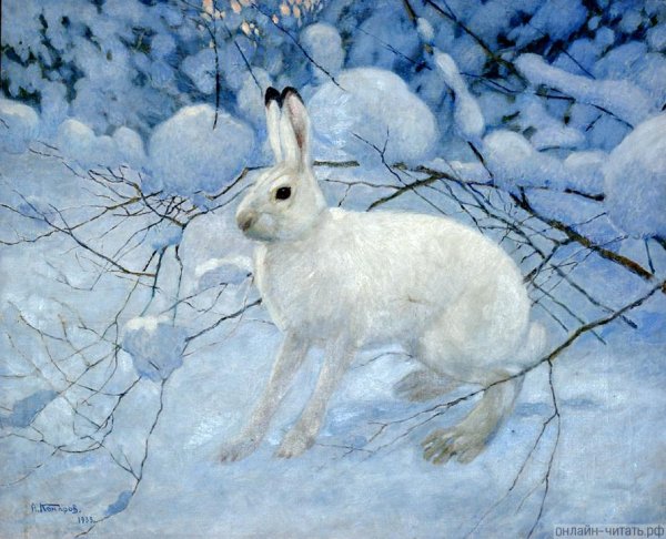 Комаров Алексей Никанорович заяц Беляк