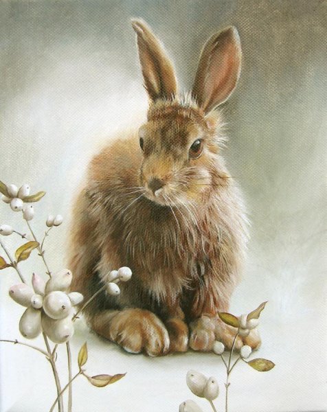 Художница-иллюстратор Jean Bradbury