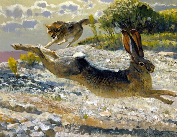 Васнецов анималист