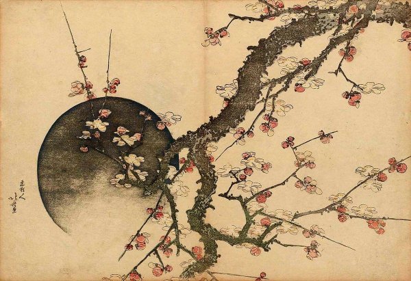 Художница Haruyo Morita