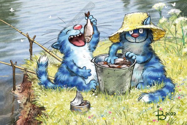 Синие коты Ирины Зенюк рыбалка