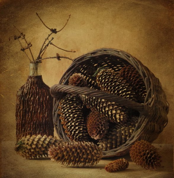 Паустовский корзина еловыми шишками корзина