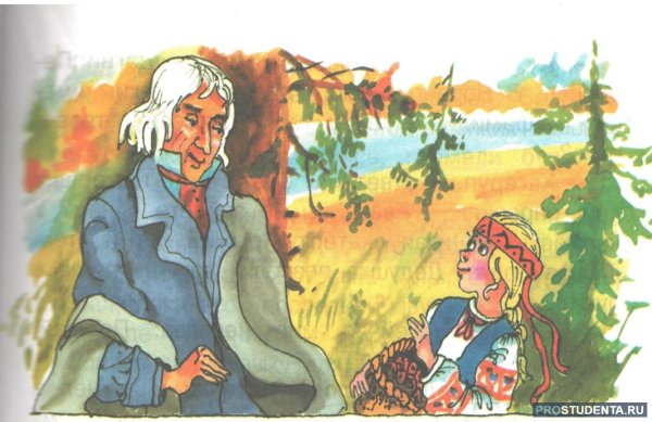 Паустовский корзина с еловыми шишками