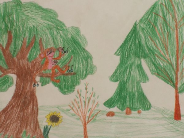 Дагни корзина с еловыми шишками