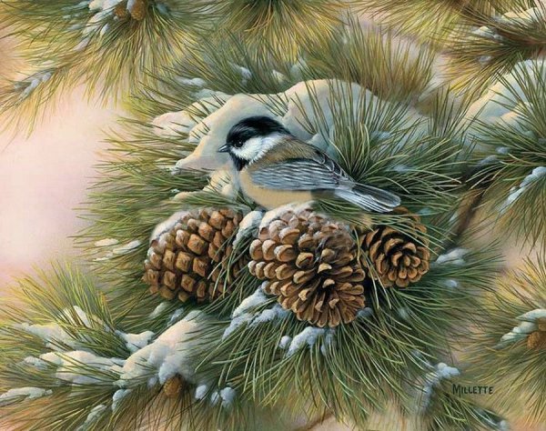 Иллюстрация к сказке корзина с еловыми шишками Паустовский