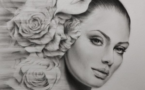 Красивые девушки карандашом