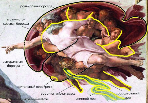 Микеланджело Буонарроти. «Сотворение Адама» (1511)