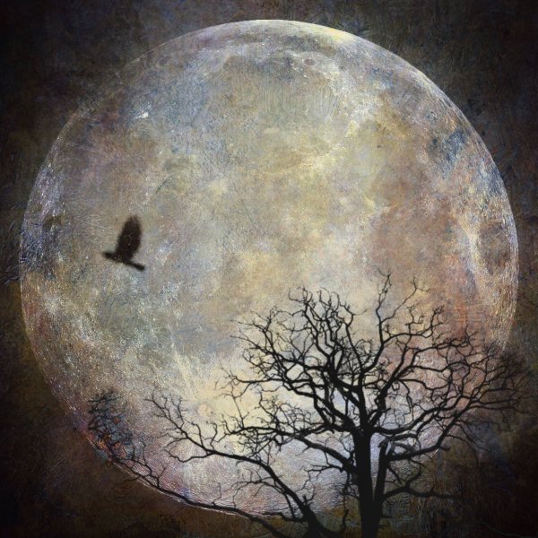 Полнолуние в живописи
